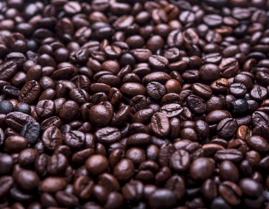 Coffee beans selected for the room breakfast tray